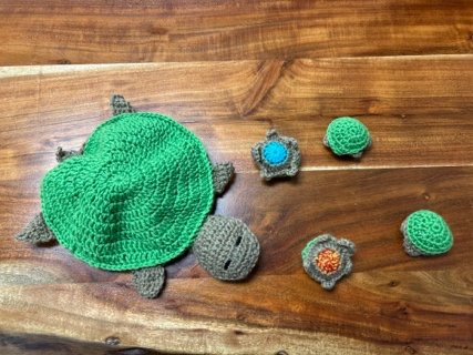 Mama and Mini Turtles class project